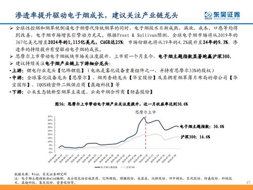 東吳證券 從思摩爾看電子煙黃金時代——計算機批發視角